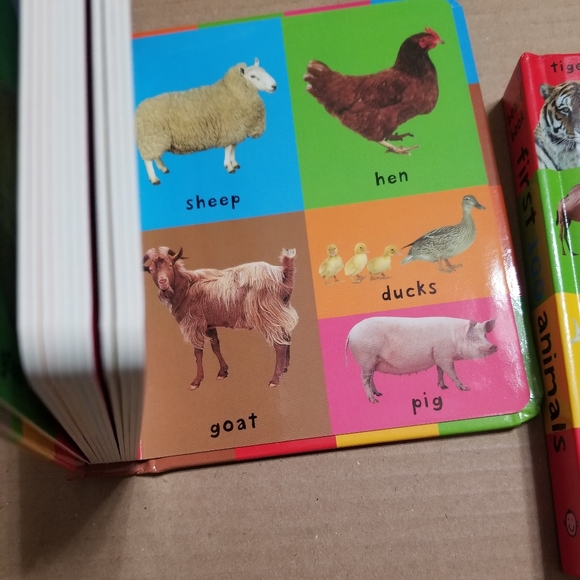 Priddy Books board books set, First 100 Words & First 100 Animals - Picture 3 of 6